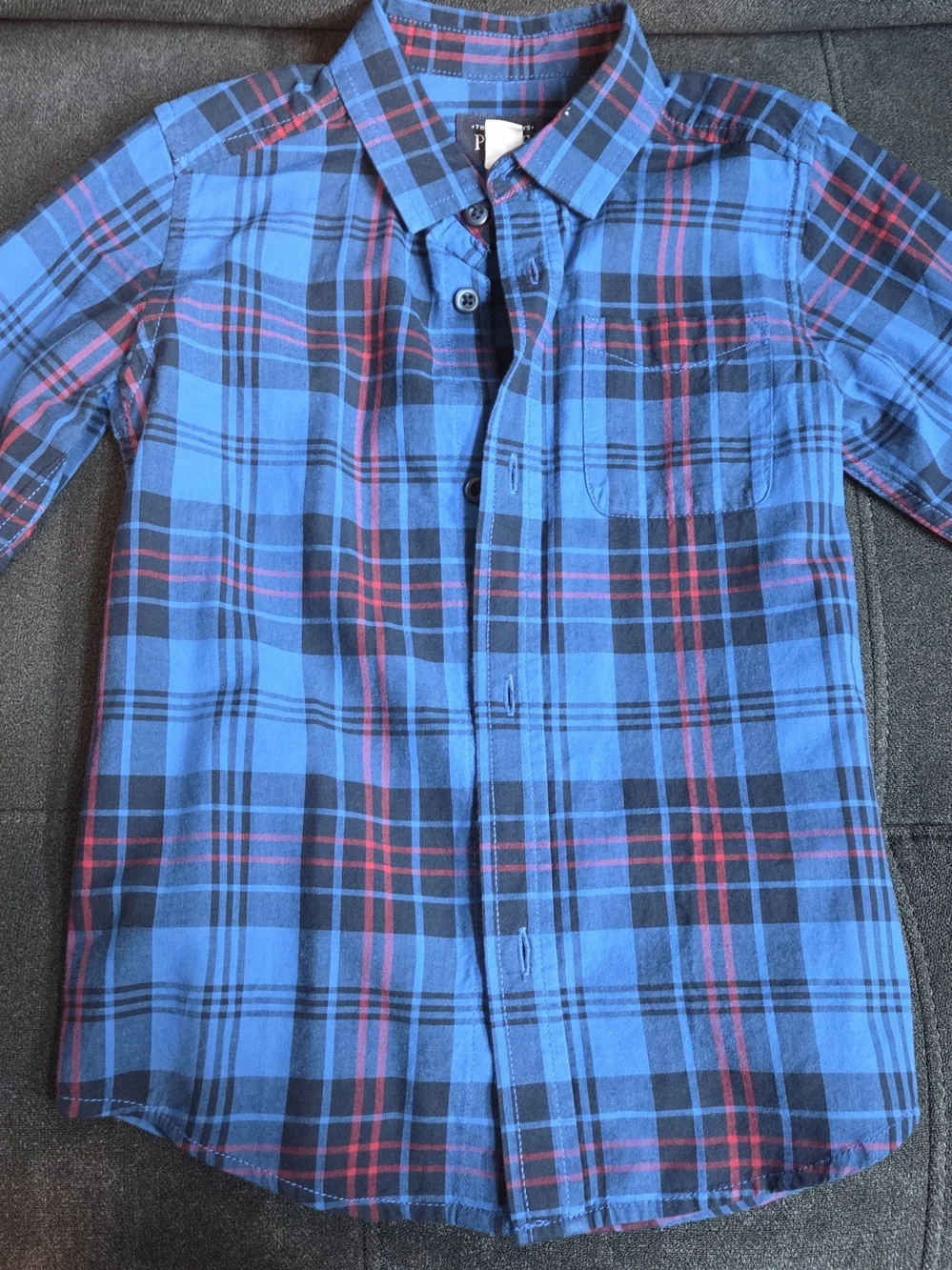 The Children's Place Blue Plaid Button-Down Shirt with Red Accents